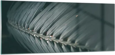 Produktbild von Bilder auf glas - Einteilig - Blatt Palme exotisch - 100x40cm - Glasbilder - Wandbilder - Bilder - zum Aufhängen bereit - Wanddekoration aus Glas - Glas Bilder - Wandbild auf Glas - GAB100x40-4907