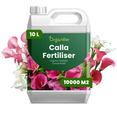 Obrázok produktu pre Calla Tekuté hnojivo 10 L – vzťah živín NPK: 3-4-3 – Pre kvitnúce rastliny – Pre bohaté kvitnutie a silné korene – Podporuje rast koreňov a vitalitu – Organický produkt