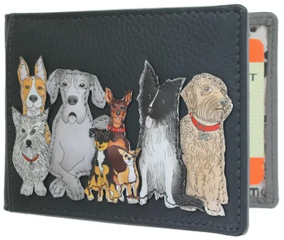 Image de Porte-cartes en cuir avec protection RFID