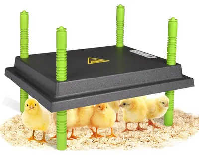 Image de Plaque chauffante pour poussins, 25 x 30 cm, chauffage sûr, pour 1 à 15 poussins
