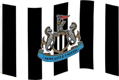 Obrázek produktu pro Newcastle United FC - Vlajka, erb TA12321 (jedna velikost) (černá/bílá)