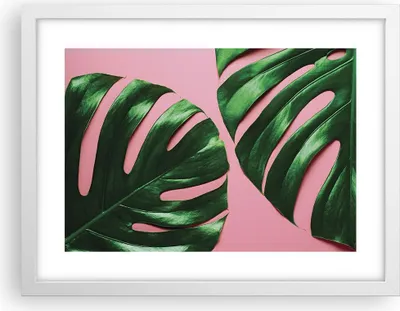 Produktbild von Gerahmtes Poster - Weißer Rahmen - Monstera Blatt Rosa - 40x30 cm - Wand Bild - Wanddeko - Wandbilder - Kunstposter - Wandposter - Bilderrahmen - Bilder - Kunstdruck - Wanddekoration - P2WAA40x30-4407