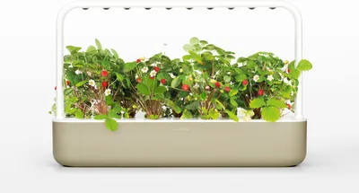 Immagine prodotto di Click & Grow Click & Grow Smart Garden 9 giardino domestico Beige