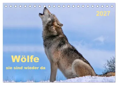 Produktbild von Wölfe - sie sind wieder da (Tischkalender 2027 DIN A5 quer), CALVENDO Monatskalender
