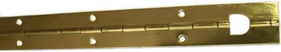 Image de Charnière Piano Laquée 480 x 32 L x L (mm) - Strauss Vonderweidt