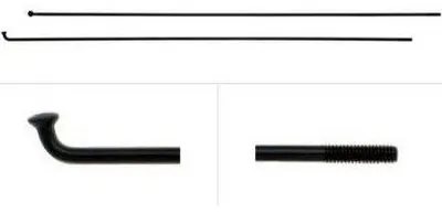 Produktbild von DT Champion Speichen schwarz 260 mm