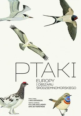 Produktbild von Ptaki Europy i obszaru śródziemnomorskiego. Przewodnik Collinsa