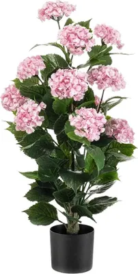 Produktbild von Emerald Künstliche Hortensie - Gloria | 90 cm, UV-beständig, für draußen, Kunstblume, wie echt, Allergiker geeignet, pflanzliche Dekoration Praxis, Office & Wohnzimmer