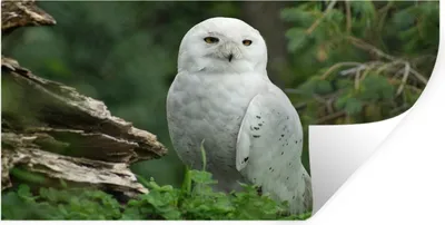 Produktbild von MuchoWow® - Aufkleber
