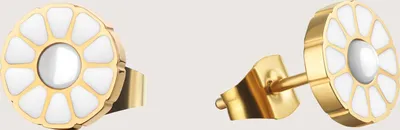 Immagine prodotto di Orecchini in acciaio inossidabile - Bering Jewelry Modello: 717-25-05
