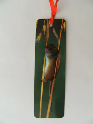 Produktbild von Lesezeichen Maus, 14 x 4 cm, Buchzeichen Bookmark Bücher Buch Tier Mäuse