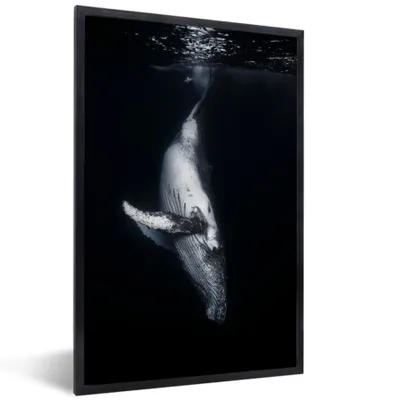 Produktbild von MuchoWow® Gerahmtes Poster Wale - Meerestiere - Meer - Natur 60x90 cm - Poster mit Schwarzem Bilderrahmen Wandposter Rahmen Foto Bilder - Kunst