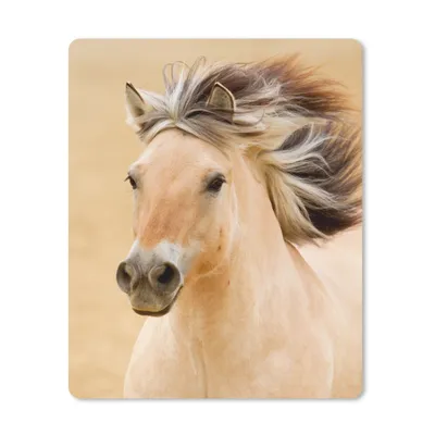 Produktbild von MuchoWow® Mauspad Mousepad Pferde - Tiere - Mähne - Porträt 30x40 cm - Mousepads - Maus Mat - Pad - Mausunterlage - Mausmatten
