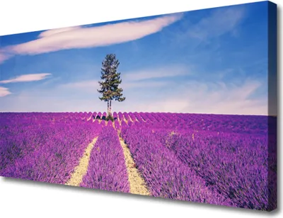 Produktbild von Tulup Leinwand-Bilder 100x50 Wandbild Canvas Kunstdruck Wiese Baum Landschaft