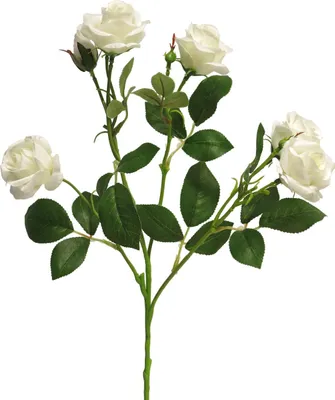Produktbild von artplants.de Kunstblumen Zweig Rose SHANZHA, Creme, 70 cm - Künstlicher Blumenzweig