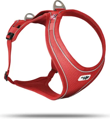 Produktbild von Curli Belka Comfort Geschirr rot, Größe: XS