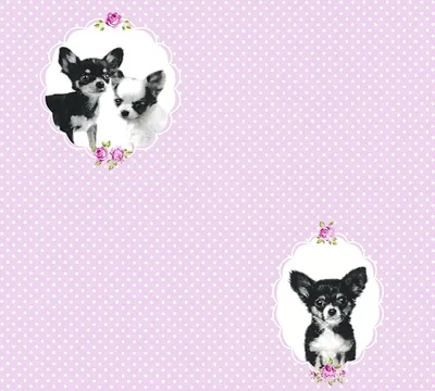Produktbild von A.S. Création Vliestapete Little Stars Ökotapete rosa schwarz 10,05 m x 0,53 m 358511 35851-1