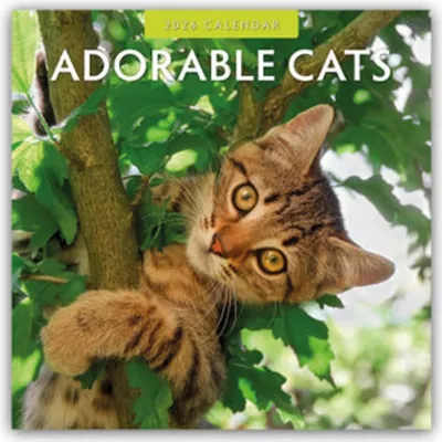 Produktbild von Red Robin Publishing Ltd: Adorable Cats - Liebenswerte Katze