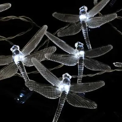 Produktbild von Nipach Solar-Lichterkette mit 24 Libellen