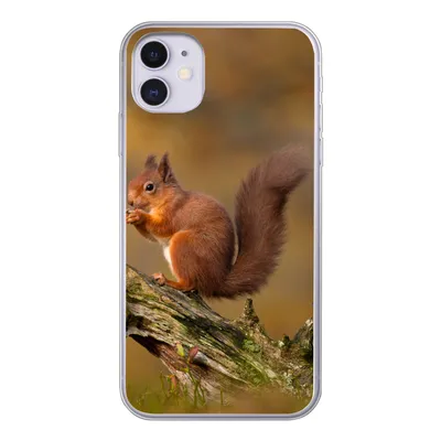Produktbild von MuchoWow® Handyhülle Schutzhülle Hülle für iPhone 11 Eichhörnchen - Baumstamm - Wald Silikon Softcase Handy Hülle - Handytasche