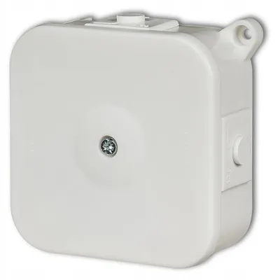 Image de Boîtier apparent blanc avec insert PO-75 IP 42