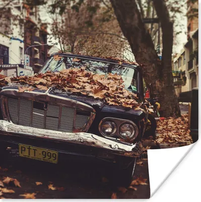 Produktbild von MuchoWow® Poster Auto - Herbstblätter - Landleben 50x50 cm - Wohnzimmerdekoration