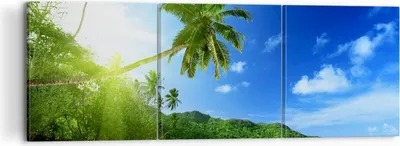 Produktbild von Bild auf Leinwand - Leinwandbild - Baum Dschungel Welle Landschaft - 120x40cm - Wand Bild - Wanddeko - Leinwanddruck - Bilder - Kunstdruck - Leinwand bilder - Wandkunst - CA120x40-3169