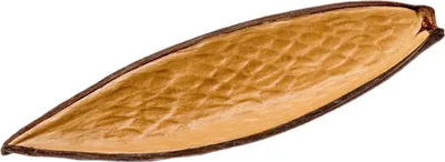 Produktbild von Canoinha Natur Länge ca. 10-15cm  | Funtumia elastica