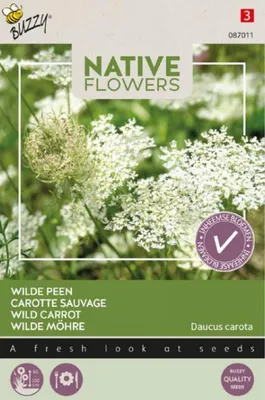 Produktbild von Wilde Möhre | Blumensamen von Buzzy Seeds