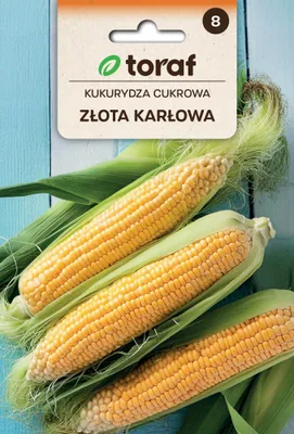 Obrázok produktu pre Kukurica cukrová ZŁOTA KARŁOWA, osivo 20 g, Toraf 109