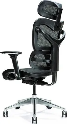 Immagine prodotto di Sedia ergonomica per ufficio ERGO 600 nero