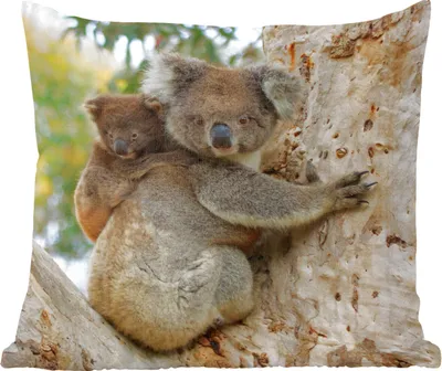 Produktbild von MuchoWow® Zierkissen Sofakissen Wohnzimmer Dekokissen 50x50 cm Koalas - Kind - Baum - Kinder - Junge - Mädchen - Komfort - Sofakissen