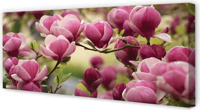Produktbild von Leinwandbild 125x50 Wandkunst Baum Blumen