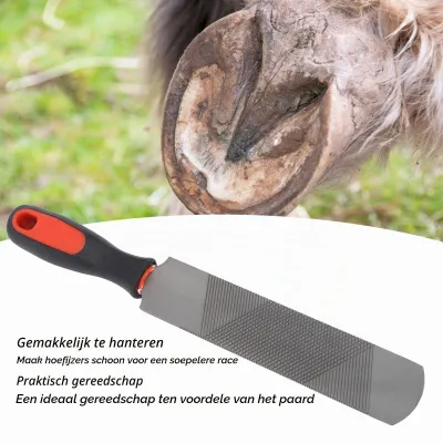 Hufraspe 8 Zoll, doppelseitig, Kohlenstoffstahl, runder Kopf