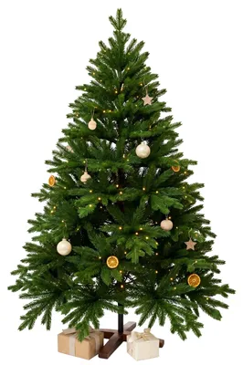 Immagine prodotto di Albero di Natale NORDMANN LED 240 in polietilene verde 158x240 cm