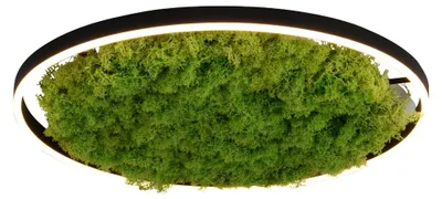 Productafbeelding van Plafondlamp Green Ritus met mos Ø 58,5cm