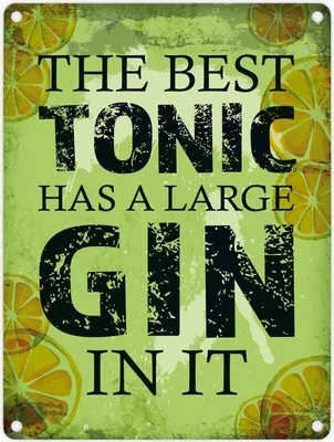 Produktbild von Metallschild mit Gin Tonic Motiv und Spruch: Best Tonic has Gin in it Schild