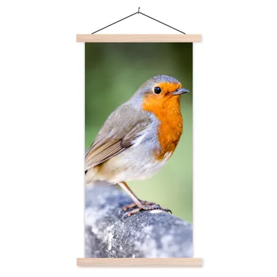 Produktbild von MuchoWow® Textilposter Rotkehlchen - Ast - Holz 60x120 cm mit holzfarbenen Rahmen - Holz