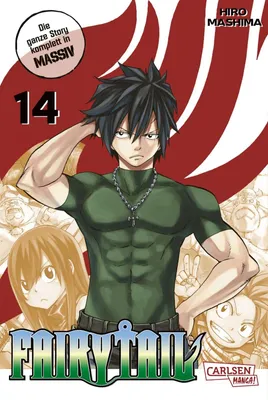 Image de Fairy Tail Massiv 14