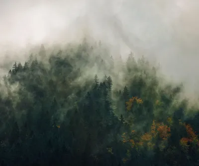 Produktbild von Sanders & Sanders Fototapete Landschaft Grün 300 x 250 cm