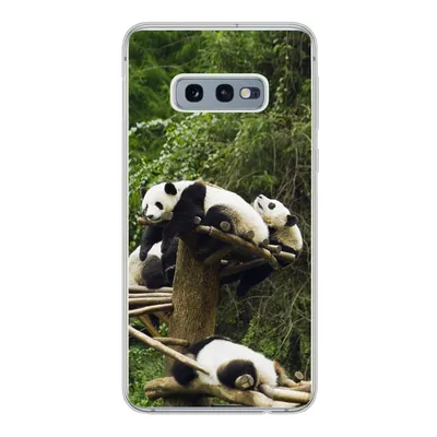 Produktbild von MuchoWow® Handyhülle Schutzhülle Hülle für Samsung Galaxy S10e Pandas - Holz - Treppe Silikon Softcase Handy Hülle - Handy