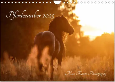 Produktbild von Pferdezauber 2025 (Wandkalender 2025 DIN A4 quer), CALVENDO Monatskalender