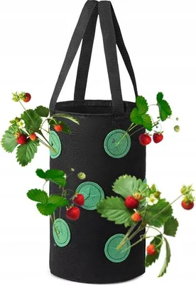 Produktbild von Hängetopf Tasche Huhn Tomaten Erdbeeren Erdbeeren Taschen 35