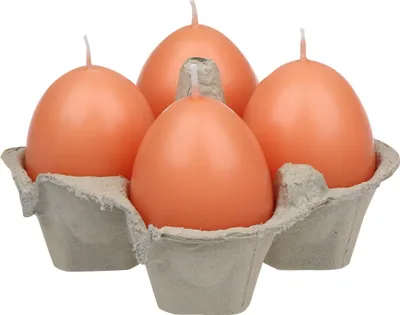 Produktbild von Eierkerzen Hummer 55/45 mm,  4er-Pack