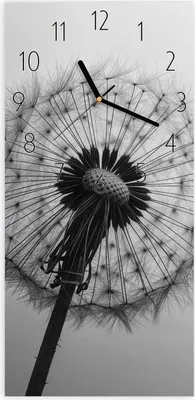 Produktbild von Wanduhr aus Glas mit Motiv Pusteblume im Wind- 30 x 60 cm - inkl. Aufhängesystem