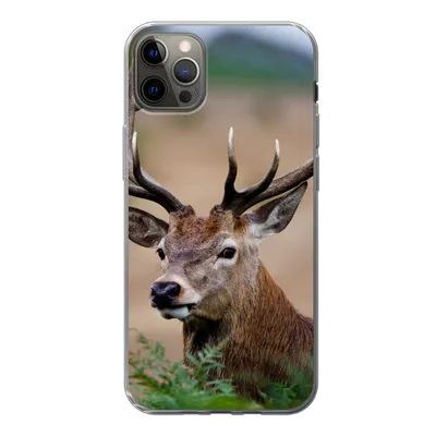 Produktbild von MuchoWow® Handyhülle Schutzhülle Hülle für iPhone 12 Pro Max Hirsche - Farne - Natur Silikon Softcase Handy Hülle - Hartschale