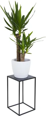 Produktbild von HowHomely Modern Pflanzenständer, Blumenhocker aus Metall Schwarz 40 cm Höhe - Blumenständer für das Haus