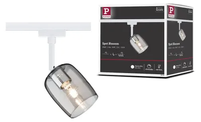 Produktbild von Paulmann URail Schienenspot Blossom