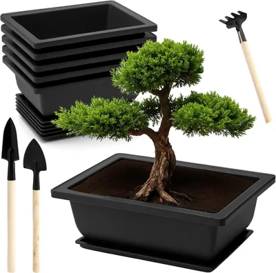 Productafbeelding van 6 stuks bonsaischaal met onderzetter en kleine tuingereedschapsset, 16,5 x 12 x 6 cm, herbruikbare bonsai-pot, plantenschaal voor tuin, kantoor