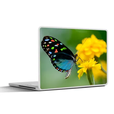 Produktbild von MuchoWow® Laptop Aufkleber Sticker Cover Schmetterling - Blume - Tier - Insekt 36.5x27.5 cm - Laptop-Sticker